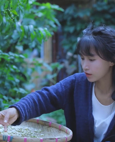 正在用簸箕摊晒菊花茶的美女李子柒
