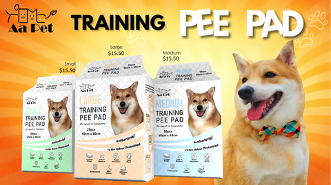 aa training pee pad