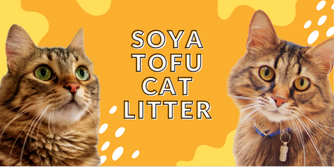 soya tofu cat litter