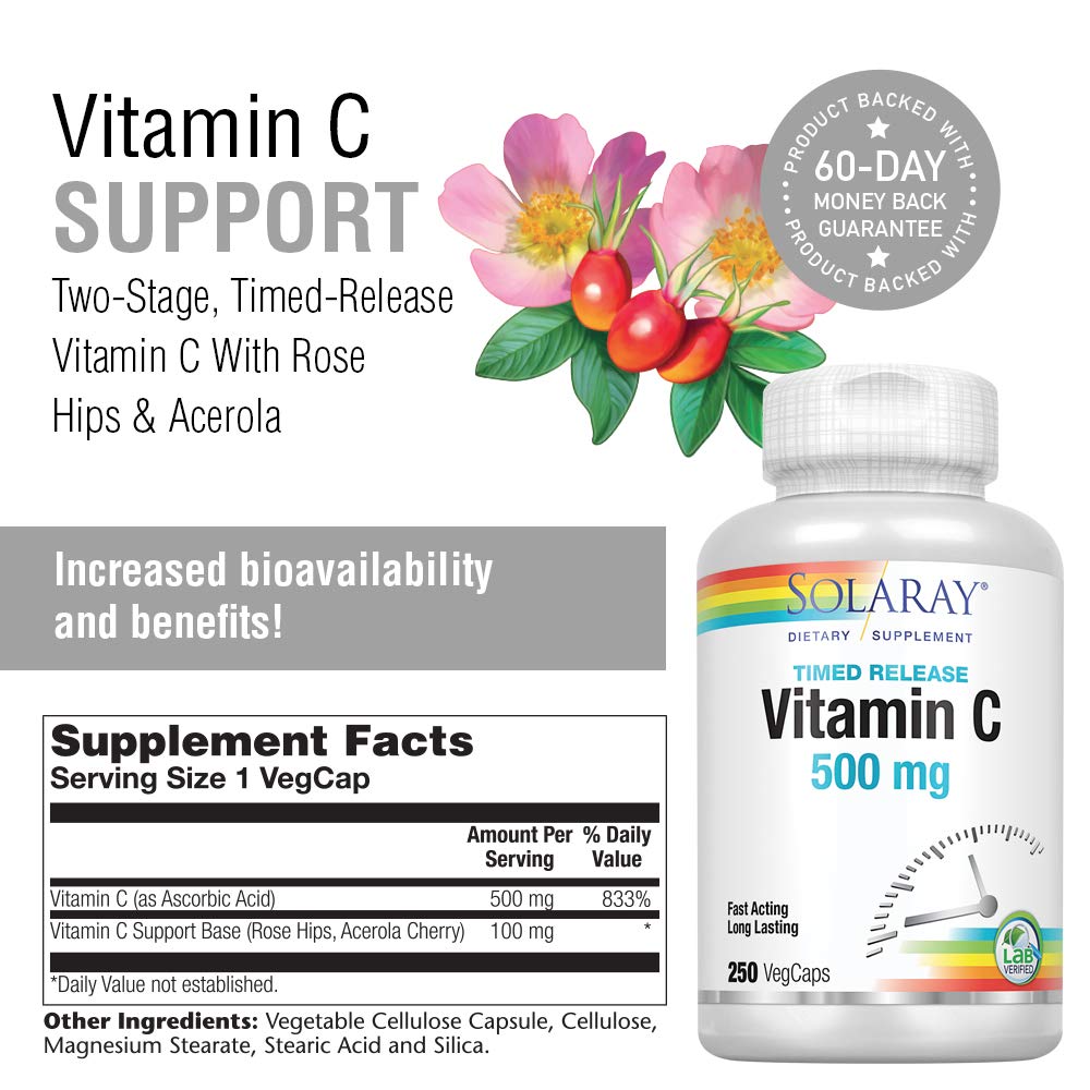 SOLARAY Vitamin C w/Rose Hips & Acerola | 500mg | Two-Stage, Timed-Release Healthy Immune Function, Skin, Hair & Nails Support | Non-GMO | 250 CT