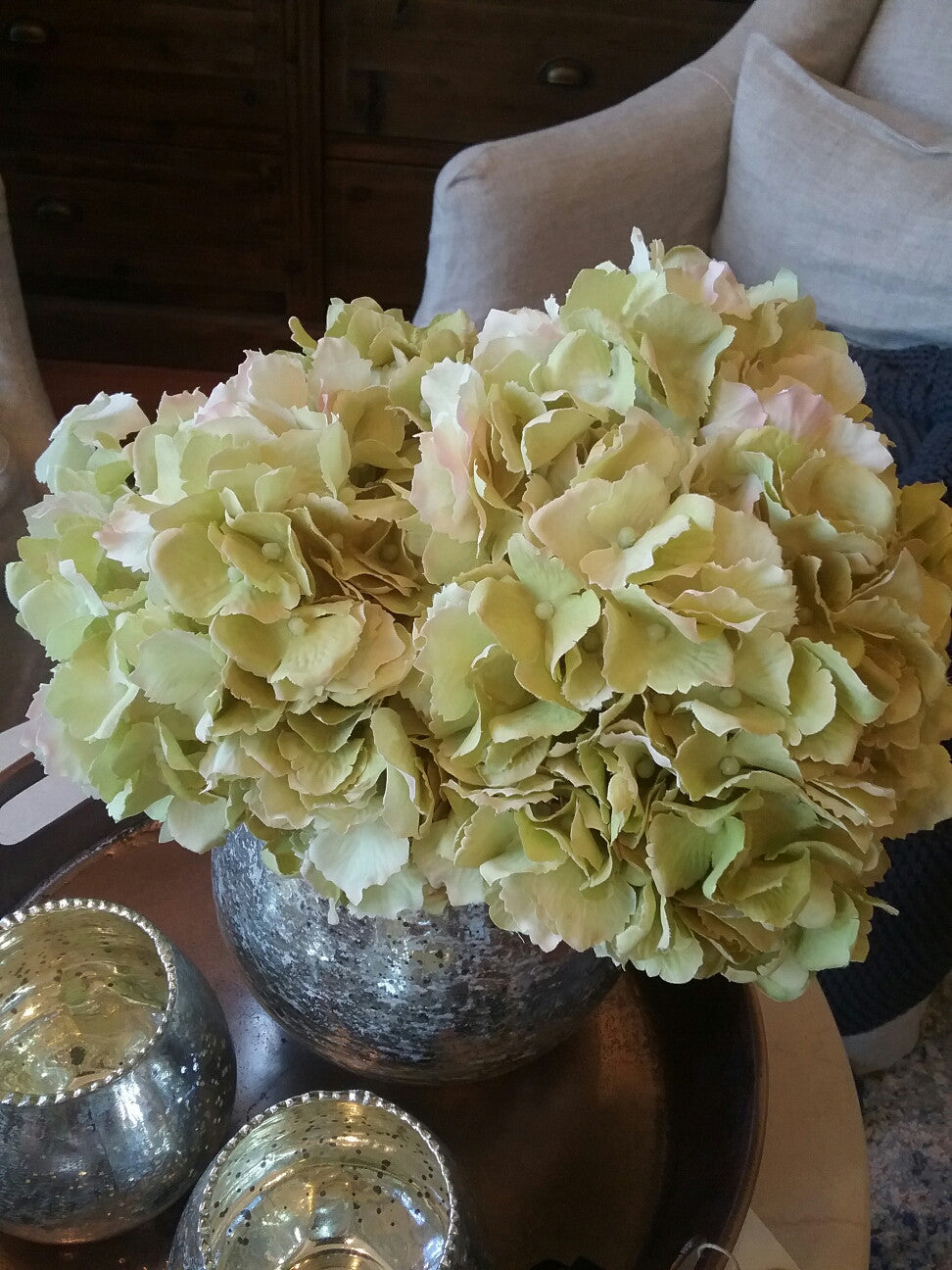  Hydrangea Bundle 