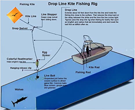 TIGRESS THREE KITE CLIP KIT