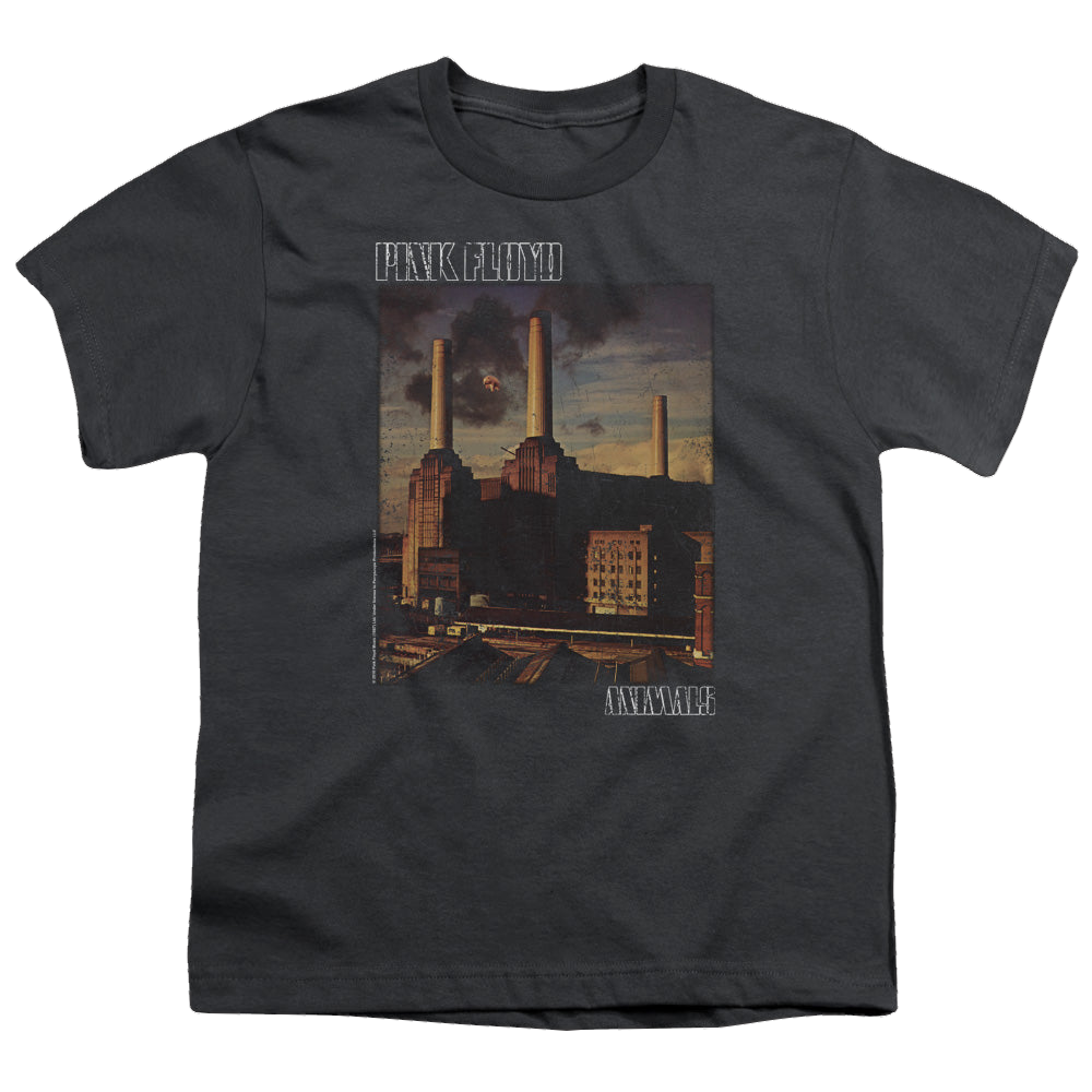 Pink Floyd Faded Animals - Youth T-Shirt