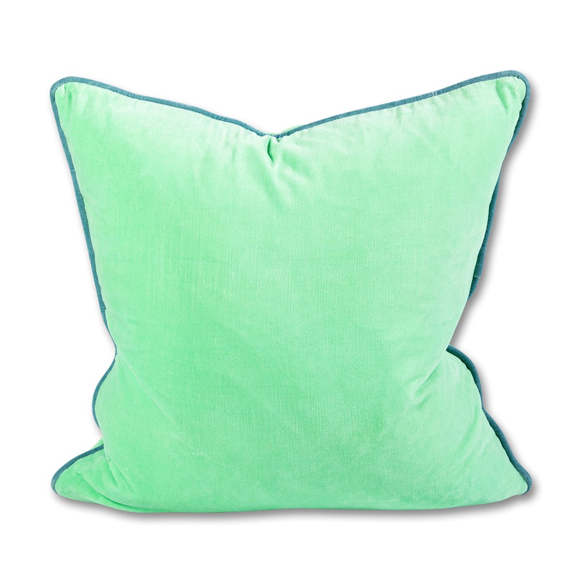 Charliss Velvet Pillow | Mint + Aqua