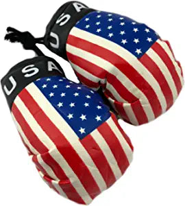 USA Hanging Car Mirror Mini Boxing Gloves