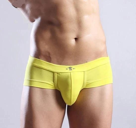 Men Underwear Modal Briefs