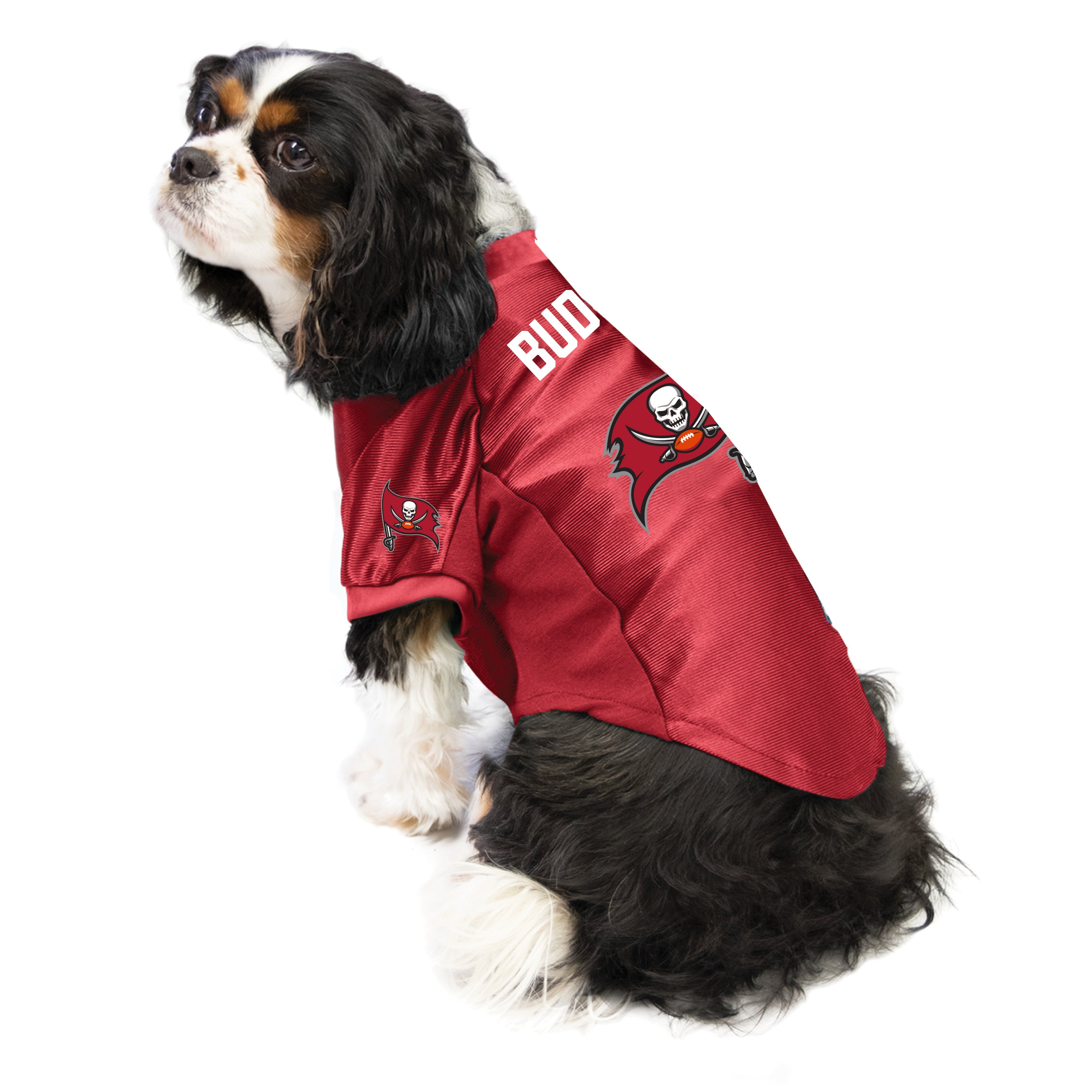 Tampa Bay Buccaneers Custom Pet Stretch Jersey