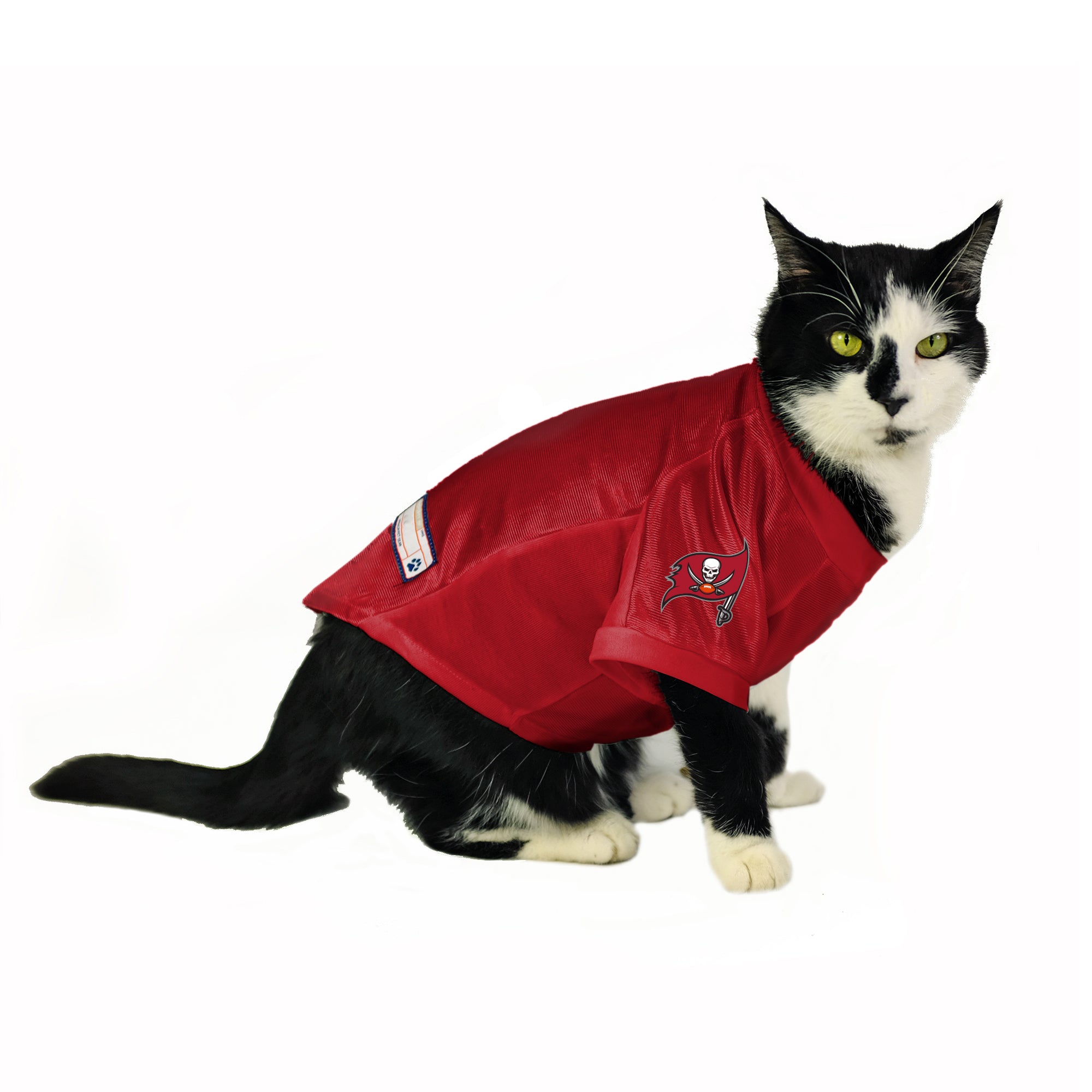 Tampa Bay Buccaneers Custom Pet Stretch Jersey