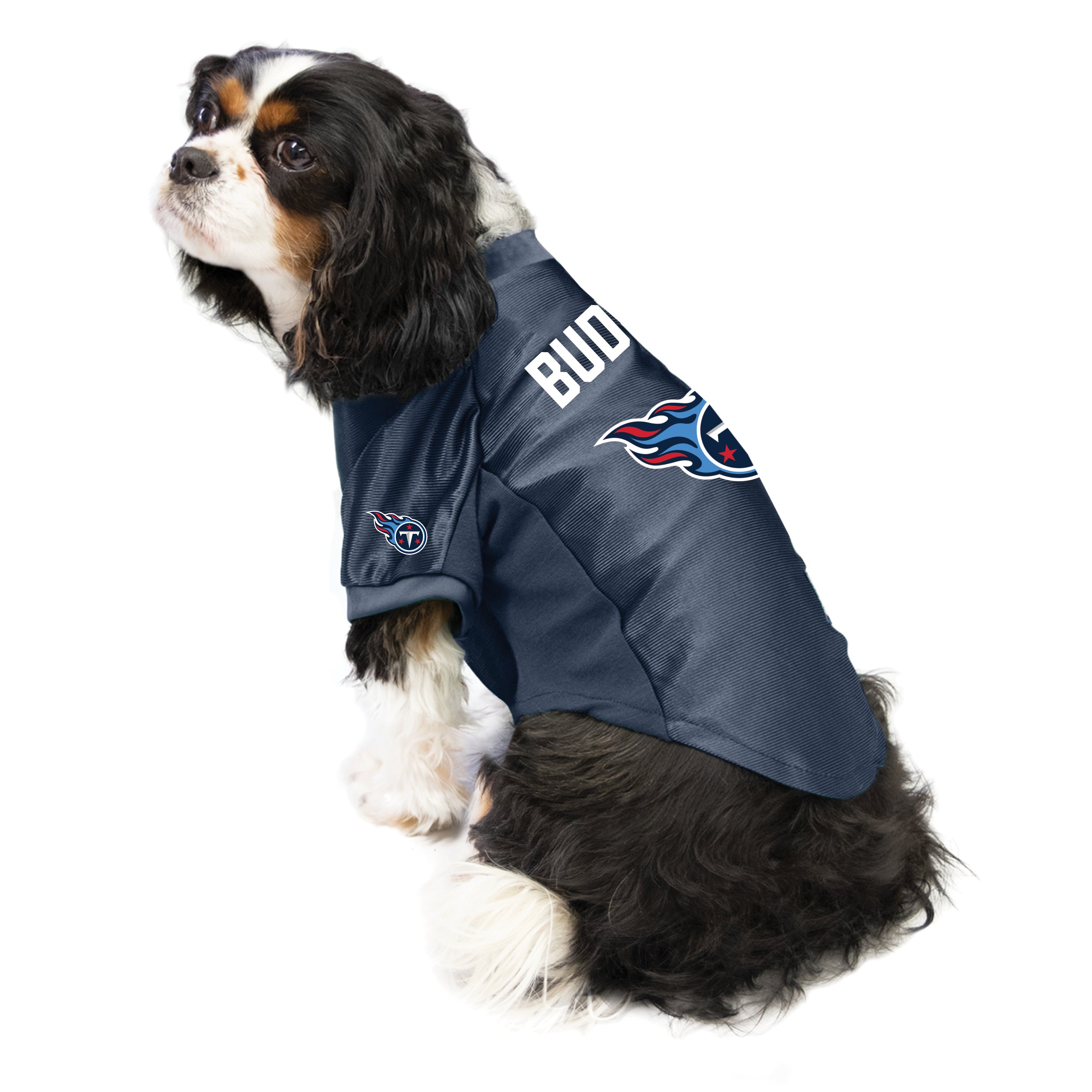 Tennessee Titans Custom Pet Stretch Jersey