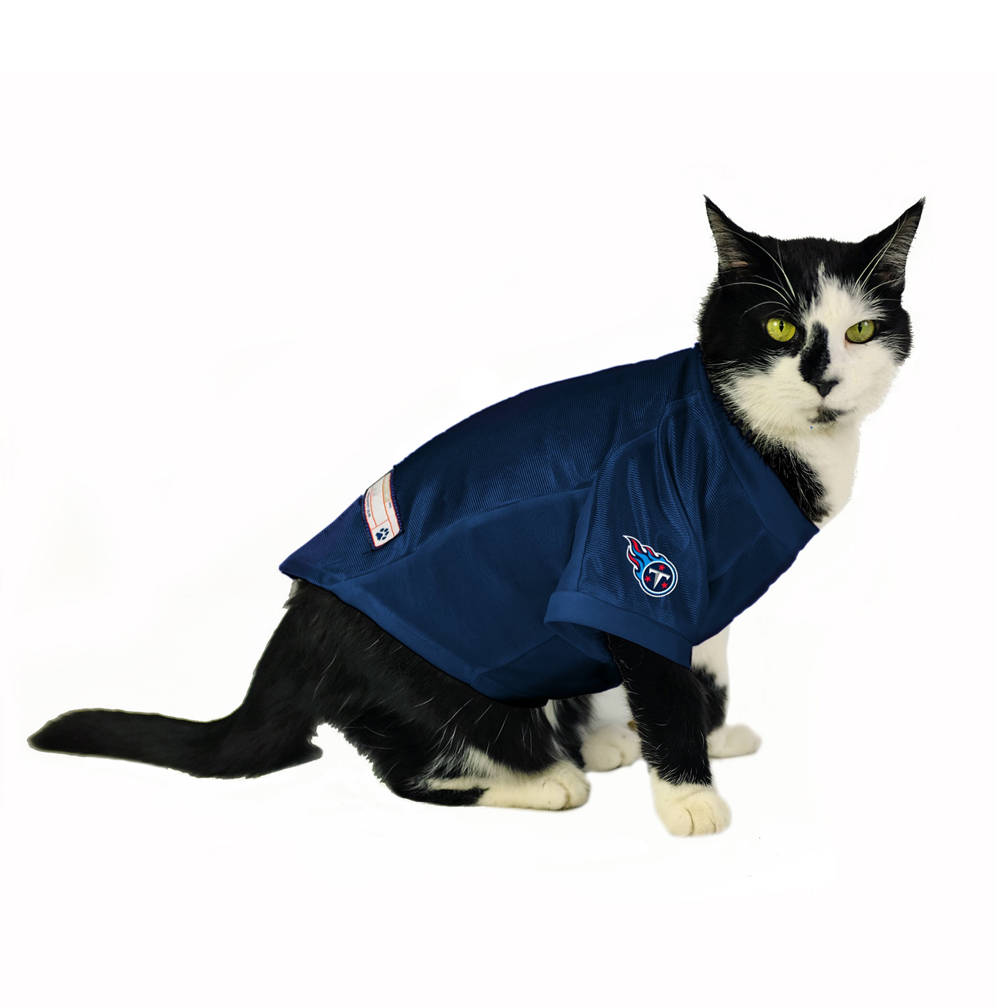 Tennessee Titans Custom Pet Stretch Jersey