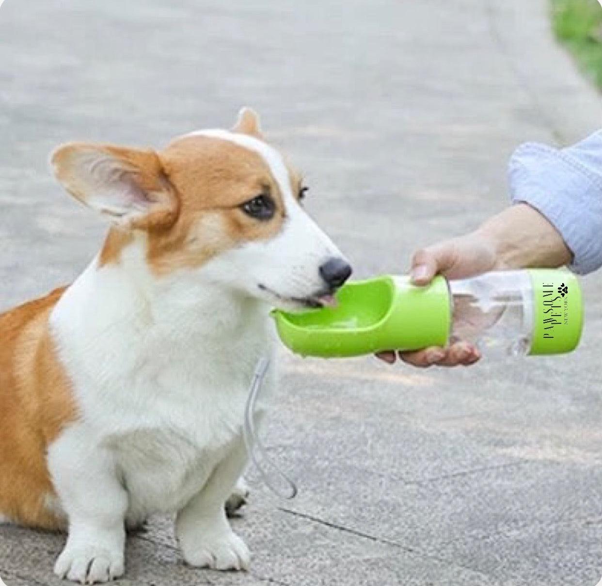 2 in 1 Portable Pet Feeder Green