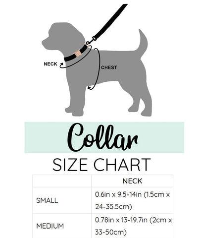 Dog & Cat Collar Solid Blue