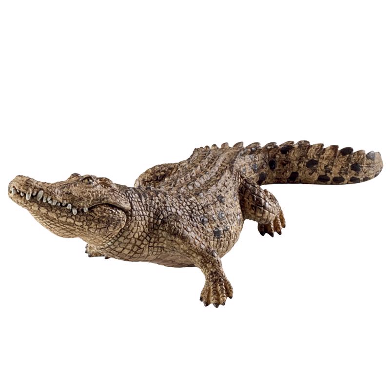 Schleich Wild Life Crocodile Toy Plastic Brown (Pack of 5)
