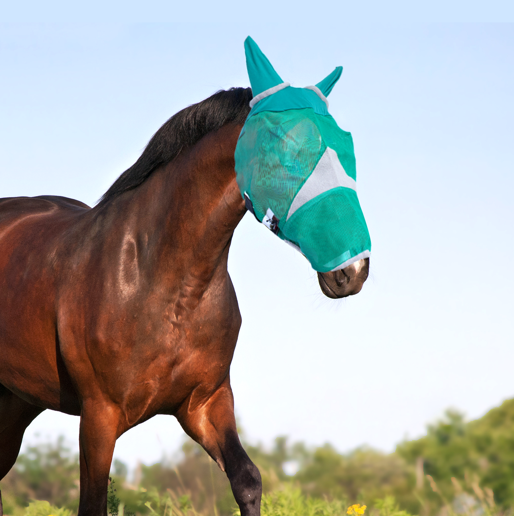 Fly Mask For a Horse with Ears or with Nose - Multi-Size Options