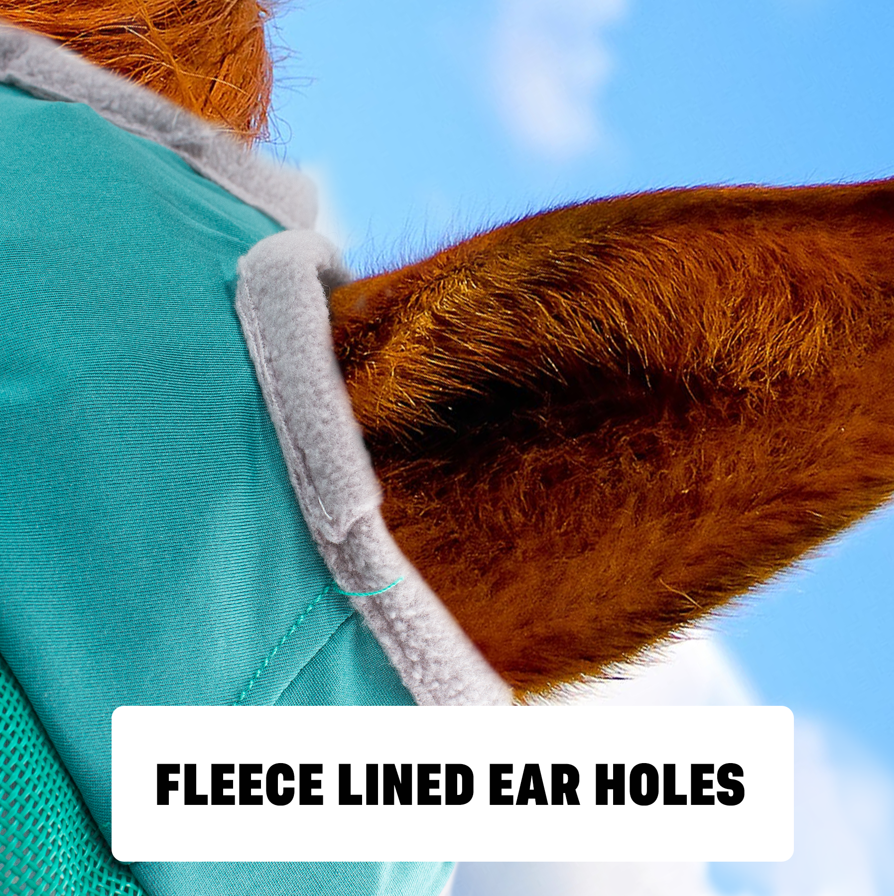 Fly Mask For a Horse with Ears or with Nose - Multi-Size Options
