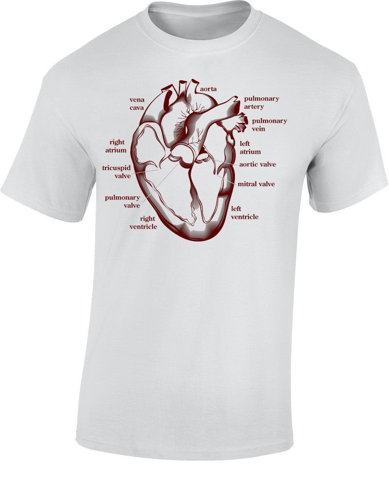  Heart Section T Shirt 