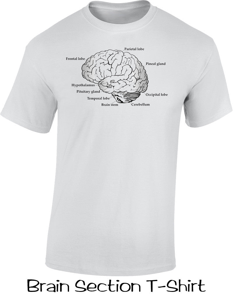  Brain Section T Shirt 