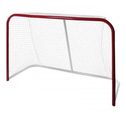 Professional Hockey Goal for Ball Hockey