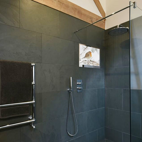shower tv