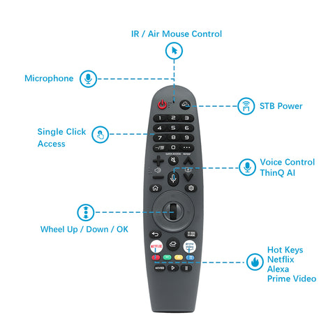 smart remote with voice control