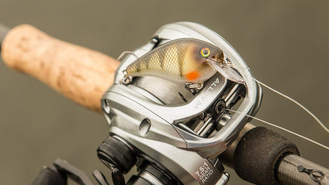 Piscifun Alloy M Casting Reel Review -By Walker Smith From