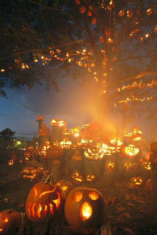 Traditions of Halloween