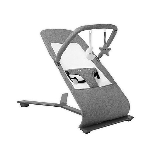 Baby Delight Go With Me Alpine Deluxe Portable Bouncer, Charcoal