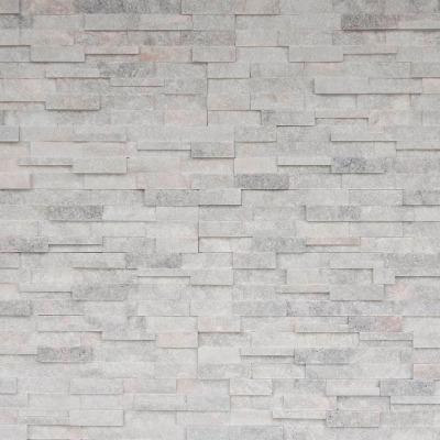 Realstone Systems Shadowstone Arctic Grey Natural Panel 6