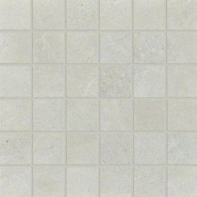 Shaw Tile Oasis Bone Mosaic 13