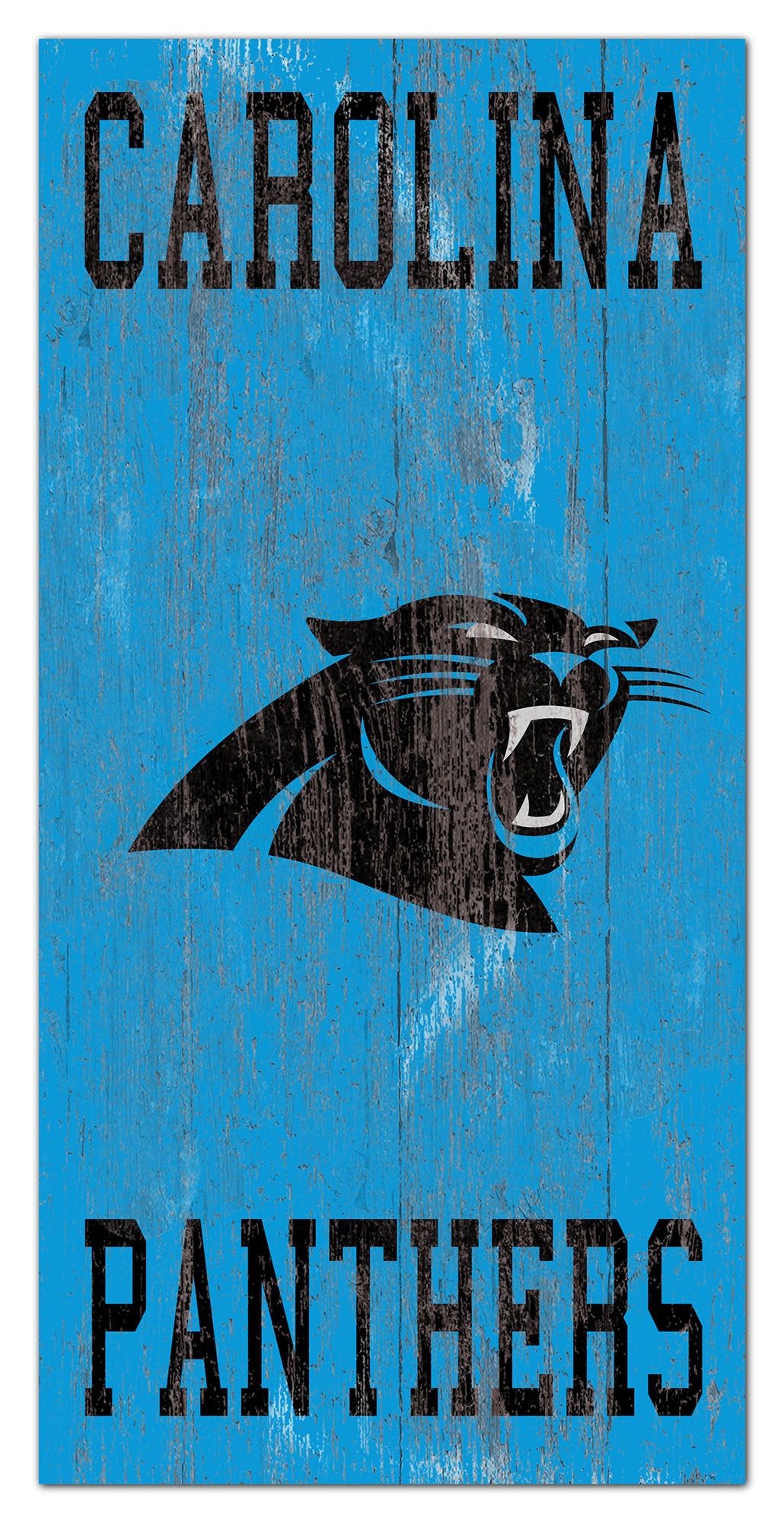 Carolina Panthers Heritage Logo w/ Team Name 6