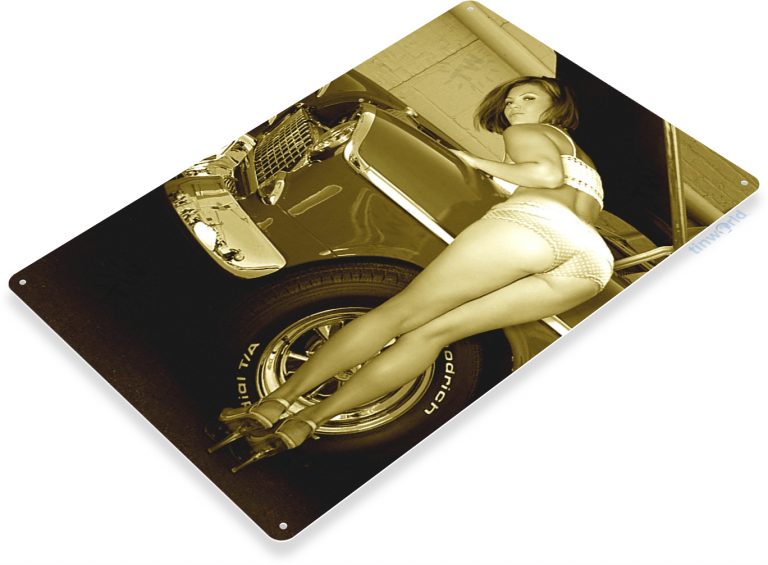 Pin-Up Girl Metal Tin Sign - A010