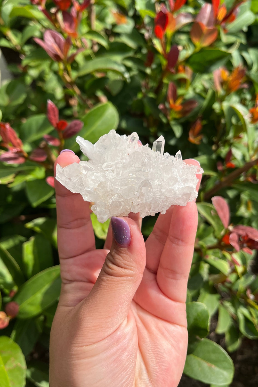 Himalayan Samadhi Lemurian Quartz Cluster #9