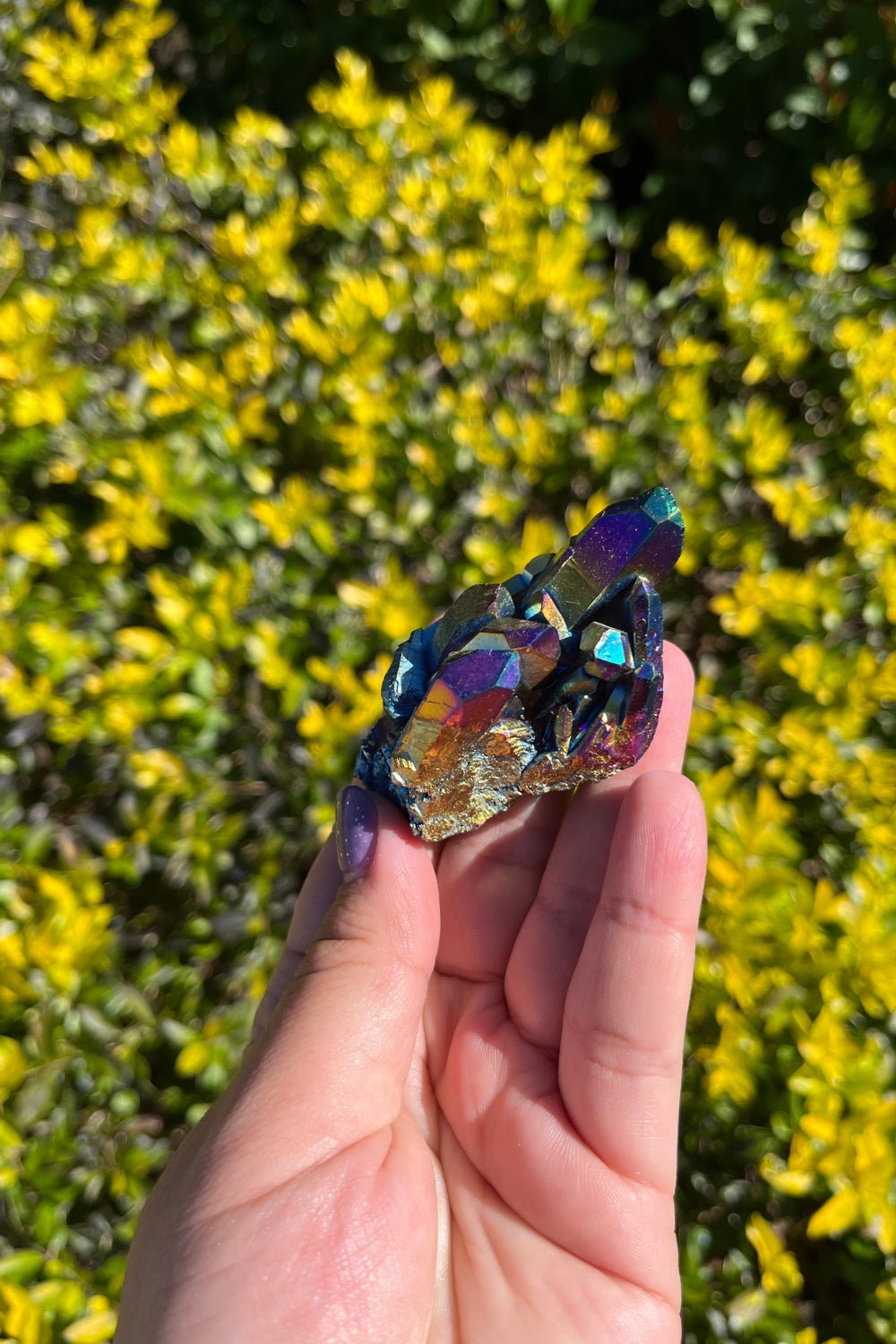 Rainbow Aura Quartz Crystal Cluster #3