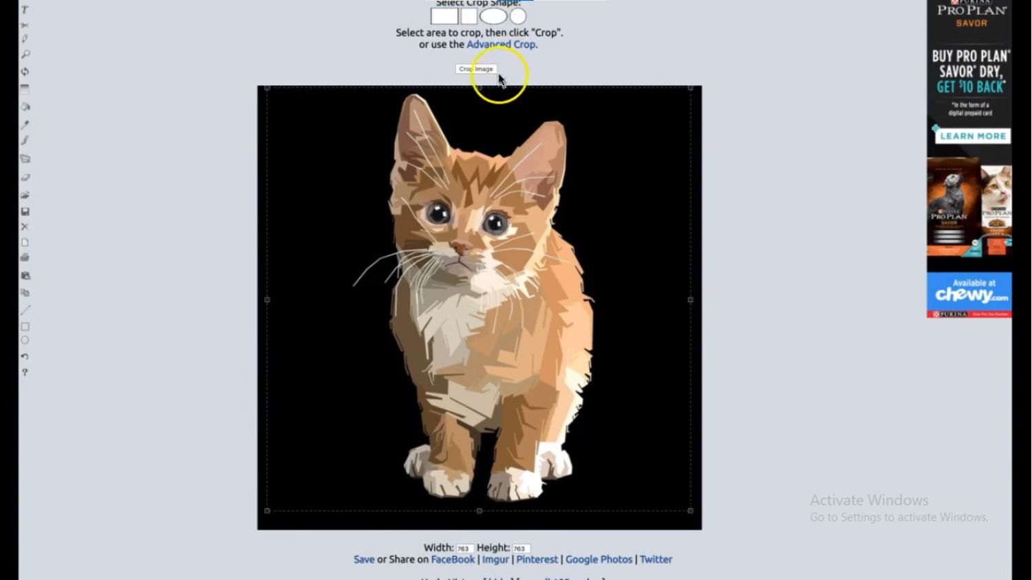 LunaPic, Free Online Photo Editor