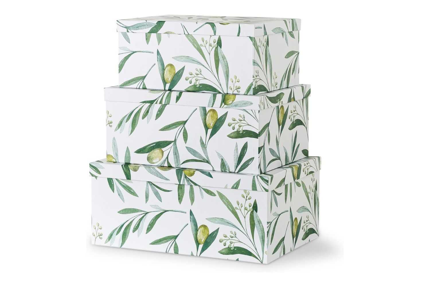 Soul & Lane Olive Branches Cardboard Boxes