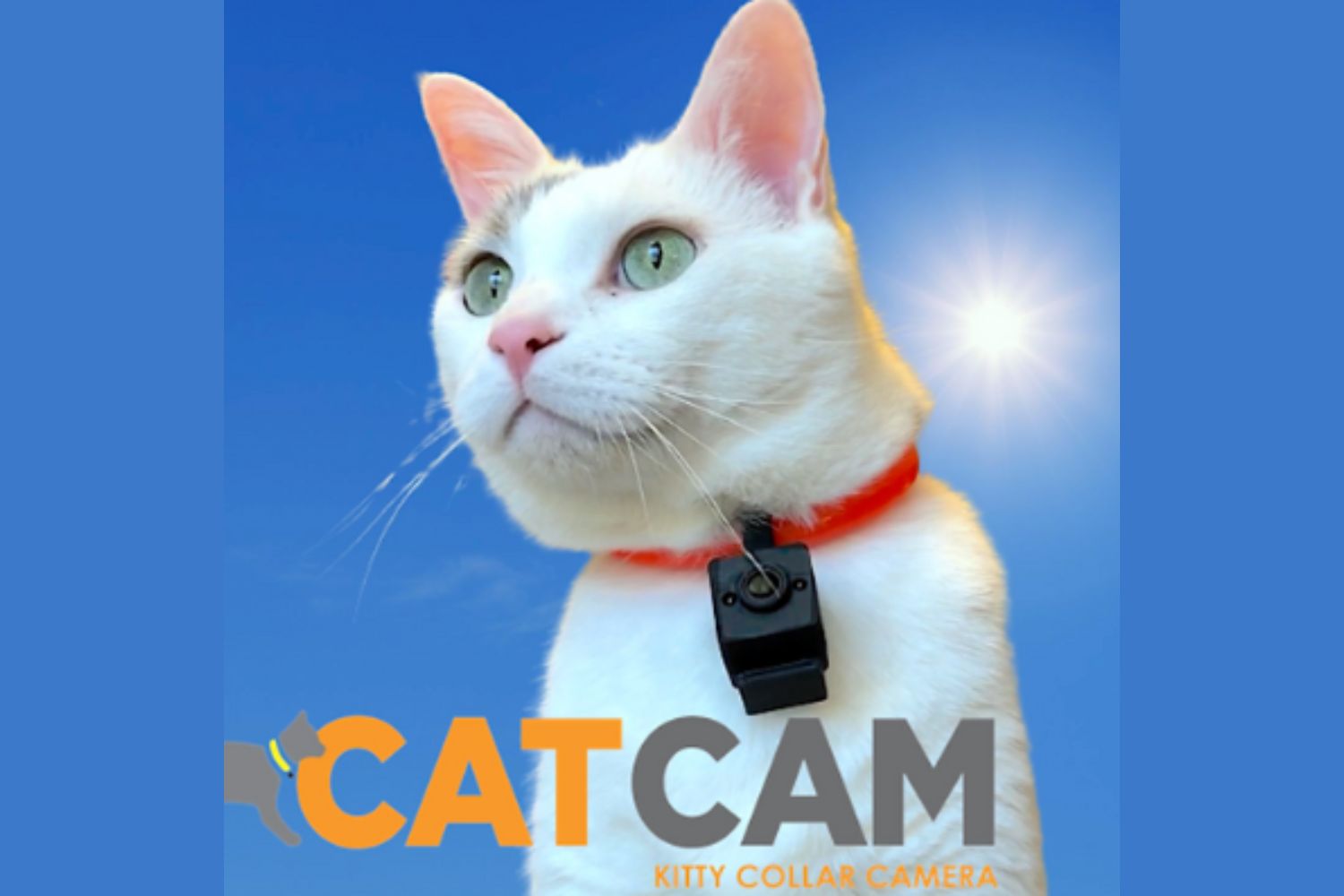 GlowTrack Cat Camera