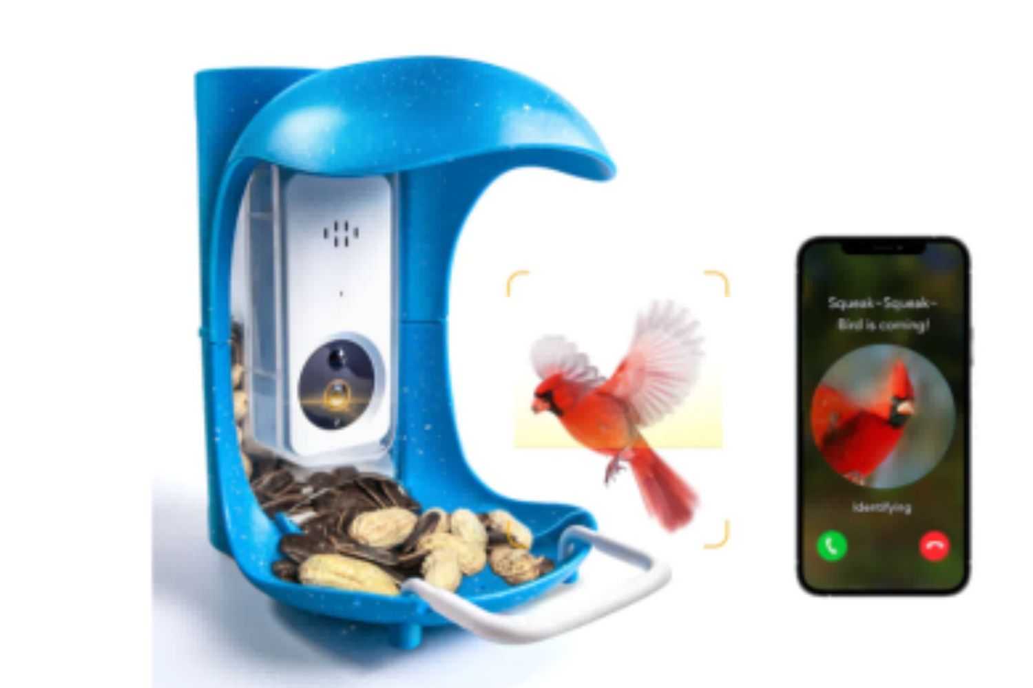 Palprot vogel detective