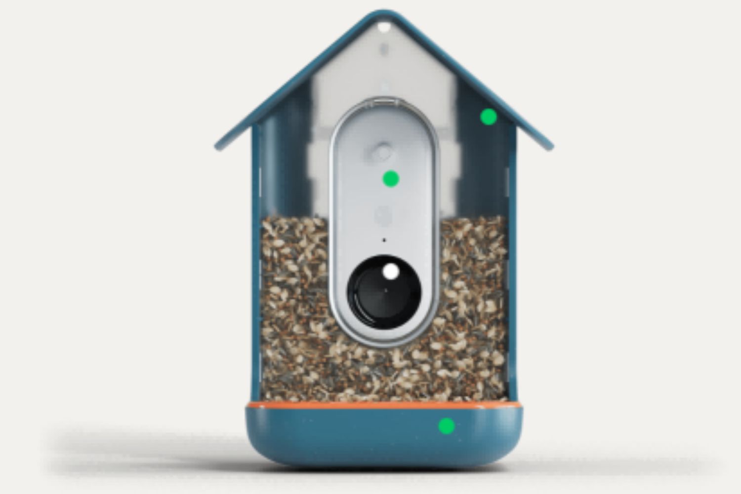 Birdfy: The First Auto AI Recognition Bird Feeder Camera by Netvue —  Kickstarter