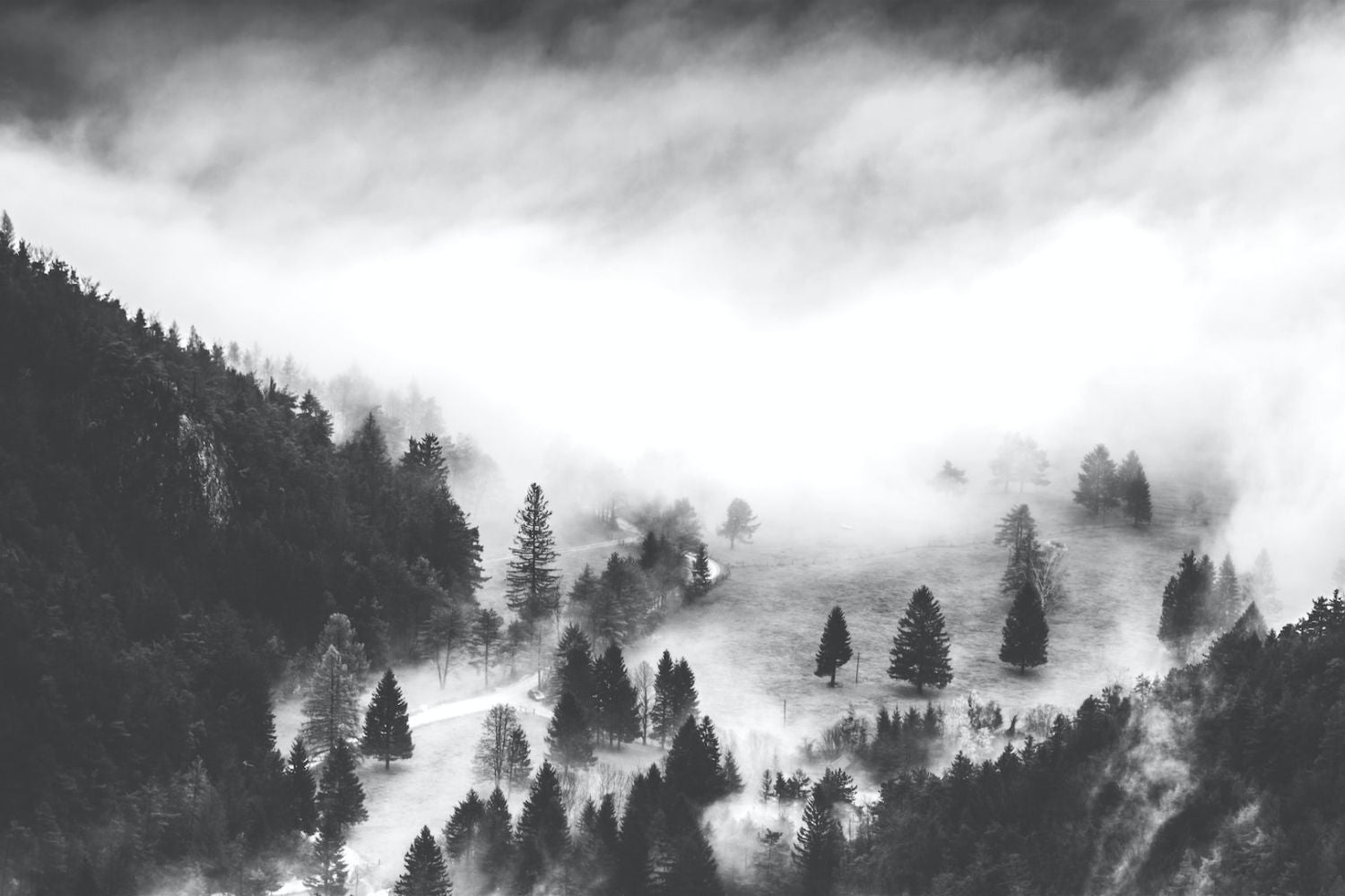black and white landscape photo