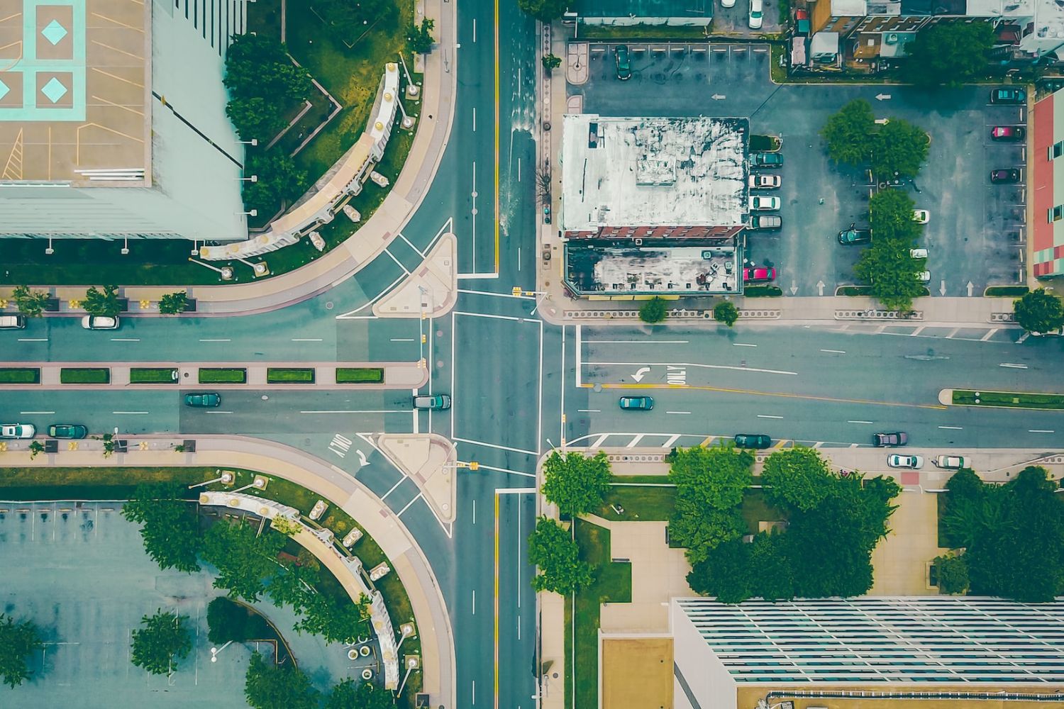 bird's eye view photo of the city 