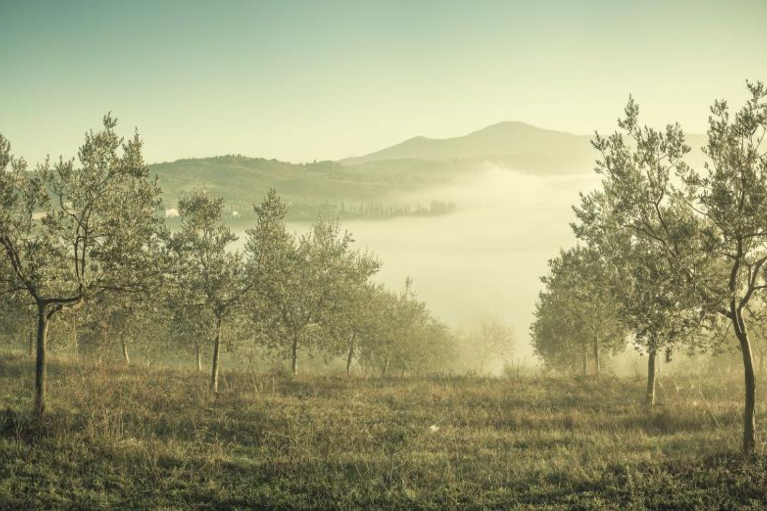 dromerig land aan de voet van de berg