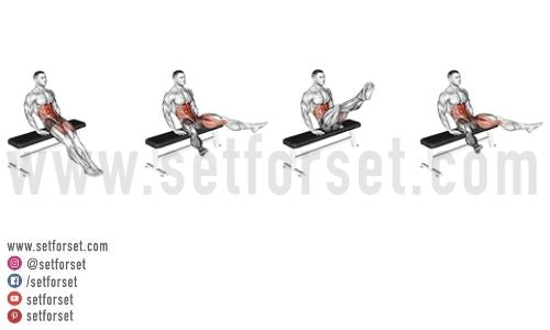 leg circles