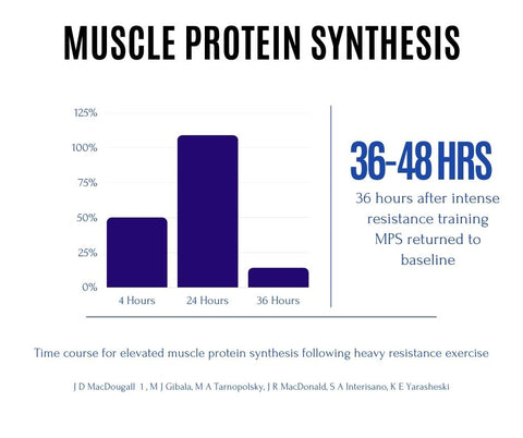 muscle protein synthesis to build muscle