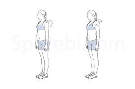 shoulder stretching exercises for seniors