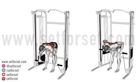 back cable machine workout