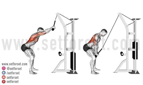 Cable Back Workouts, Best Cable Exercises