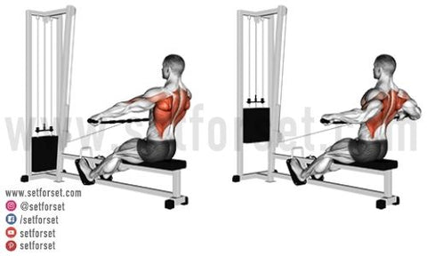 best cable exercises for back