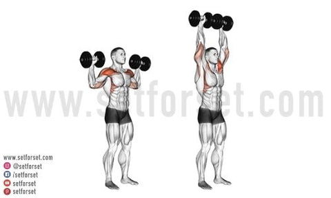 dumbbell shoulder press