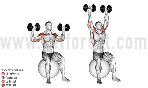 exercise ball shoulder press
