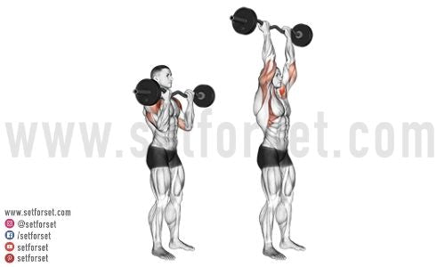 ez bar close grip reverse press